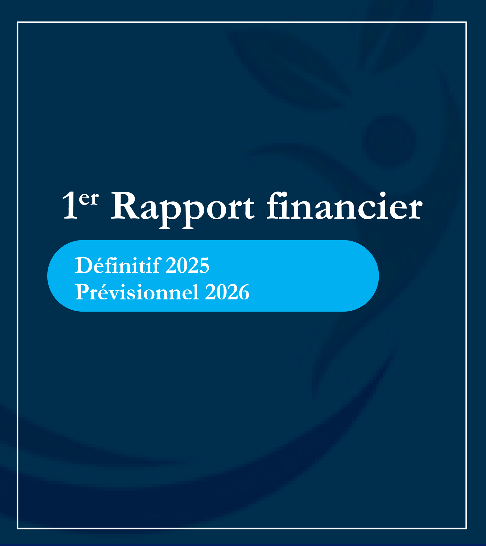 Notre rapport financier 2025